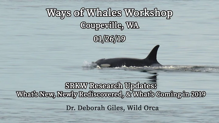 Ways of Whales Workshop #7 - Dr. Deborah Giles - S...