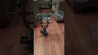 Real Five Nights At Freddys Animatronic