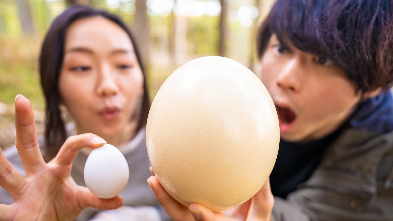 超巨大ダチョウの卵でキャンプ飯作ってみた Youtube 超巨大ダチョウの卵でキャンプ飯作ってみた Youtube