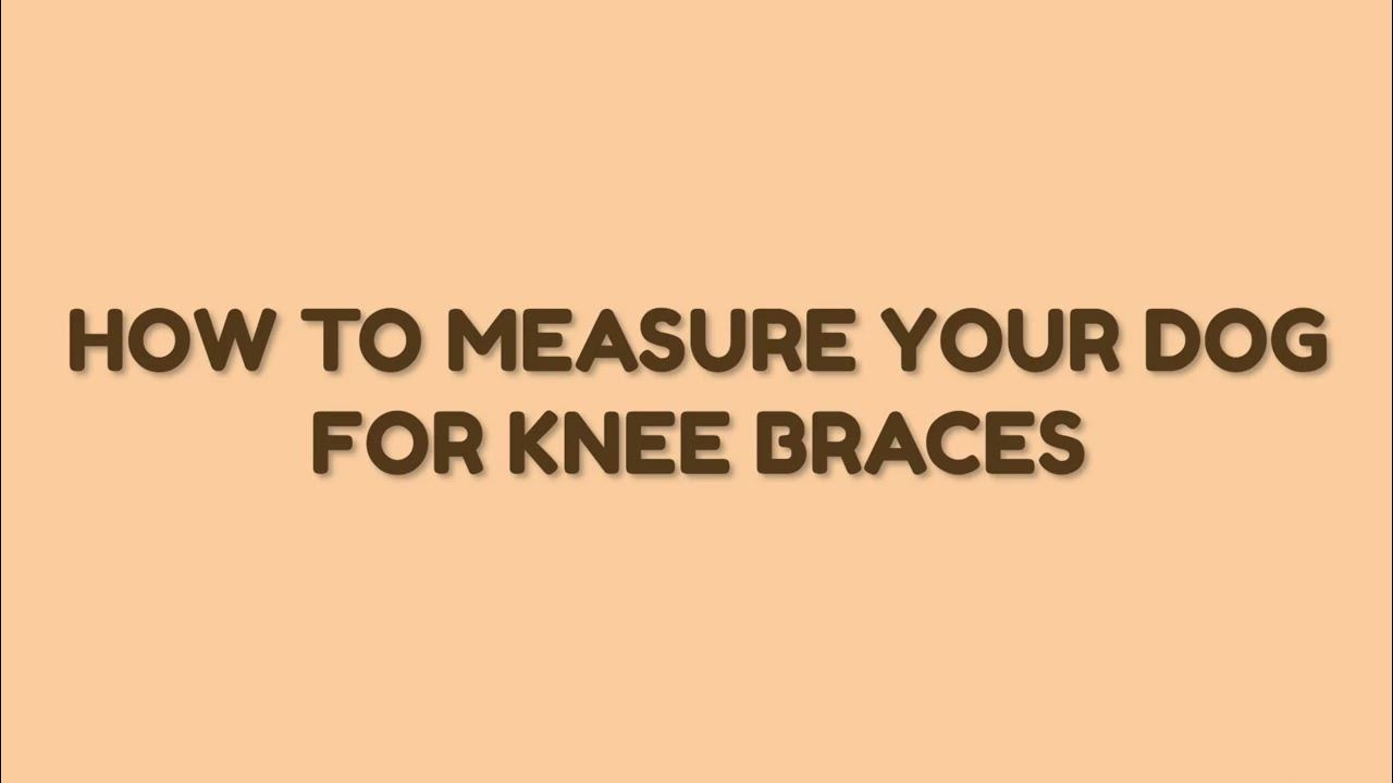 How to measure your dog for knee braces YouTube