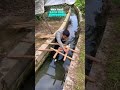 Unique Bridge Surprised Everyone #pets #catvideos