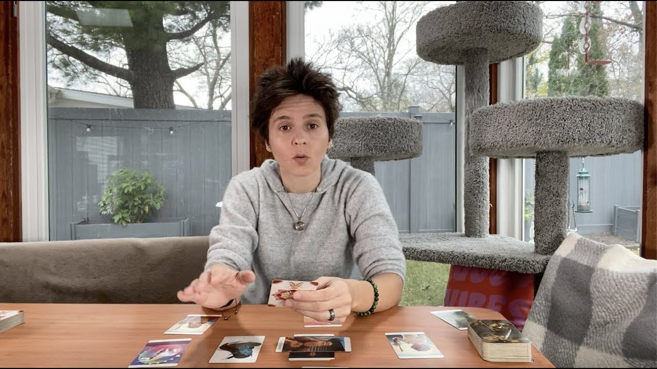 VIRGO MID NOVEMBER 2022 - 