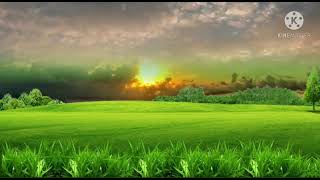 Weather Control Effect - Green Screen Video