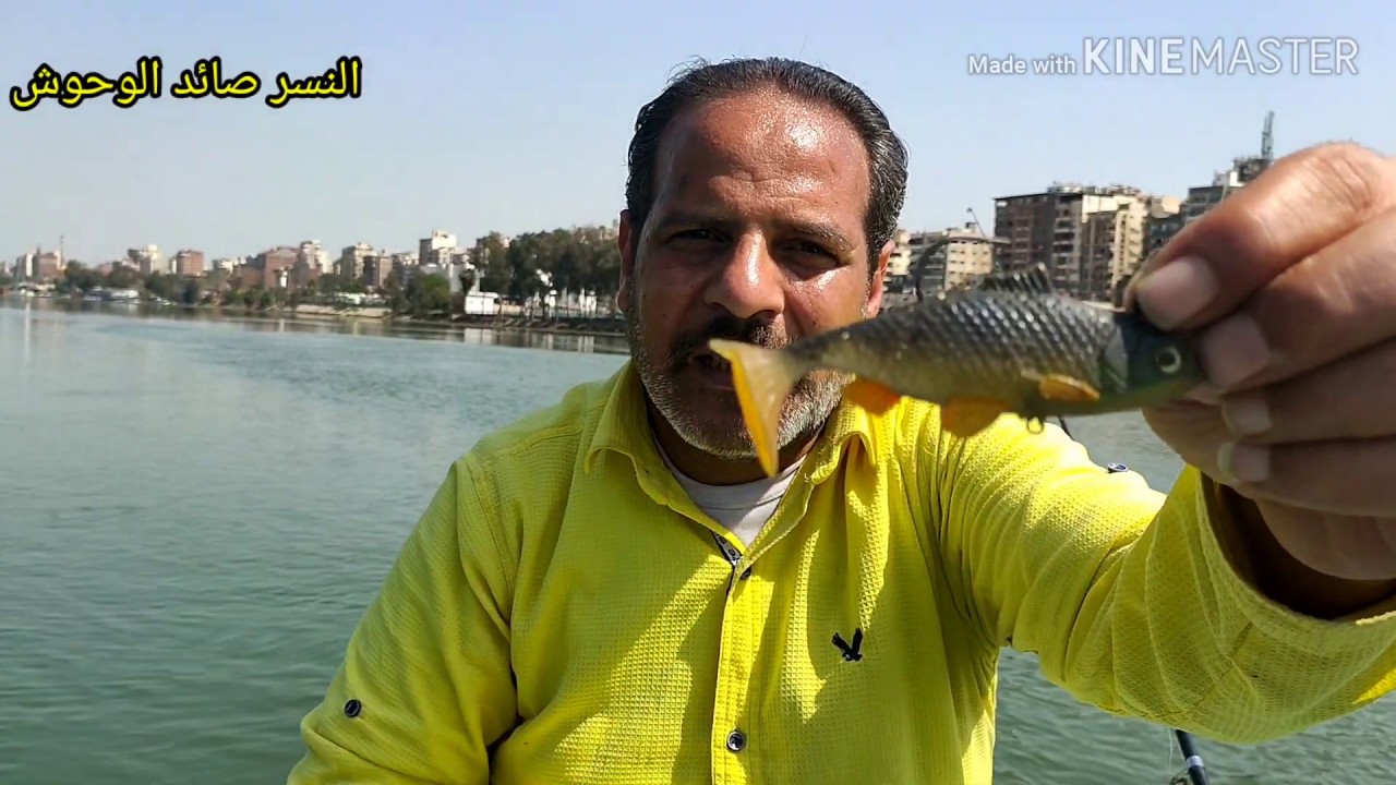 معانا يارب  طريقة صيد الربلات في النيل والمياه العزبه  لصيد قشر البياض والأسماك العملاقه انتظرونى