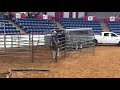 2018 APHA World Amateur Ranch Trail: Third