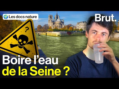 Qu'est-ce qu'on risque avec l'eau de la Seine ?