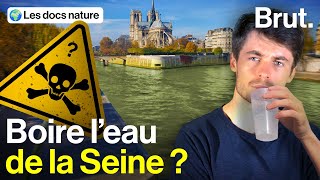 Qu'est-ce qu'on risque avec l'eau de la Seine ?