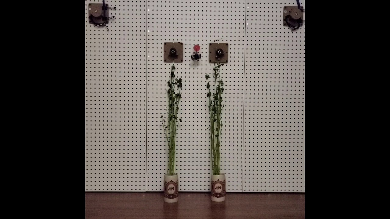 Variable Structure Cable-Driven Parallel Robot: Vertical Farming Example