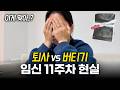 버티는 게 지옥인데, 임신 11주차에 퇴사가 더 두려운 진짜 이유| 퇴사고민 | 워킹맘 | 입덧