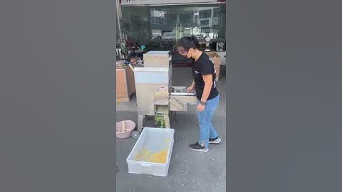 Sweet corn cutting machine, fresh corn thresher