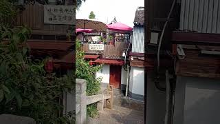 Чжуцзяцзяо."Шанхайская Венеция".
