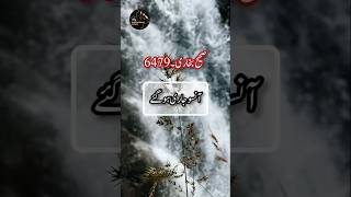 Hadees Sharif Best Hadees Hadees Mubarak Hadees Nabvi Hadith Of Prophet Muhammad
