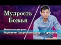 Мудрость Божья. Молитвенная встреча. Варнавин-Браун Александр. Германия. Weisheit Gottes