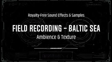 Ambience - Baltic Sea - Field Recording - Royalty-Free Sound Effects & Samples