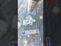 【シーリングスタンプ】これ使えそうだから取っておく #シーリングスタンプ #シーリングワックス #Shorts