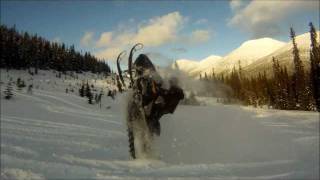 Sledding Hassler