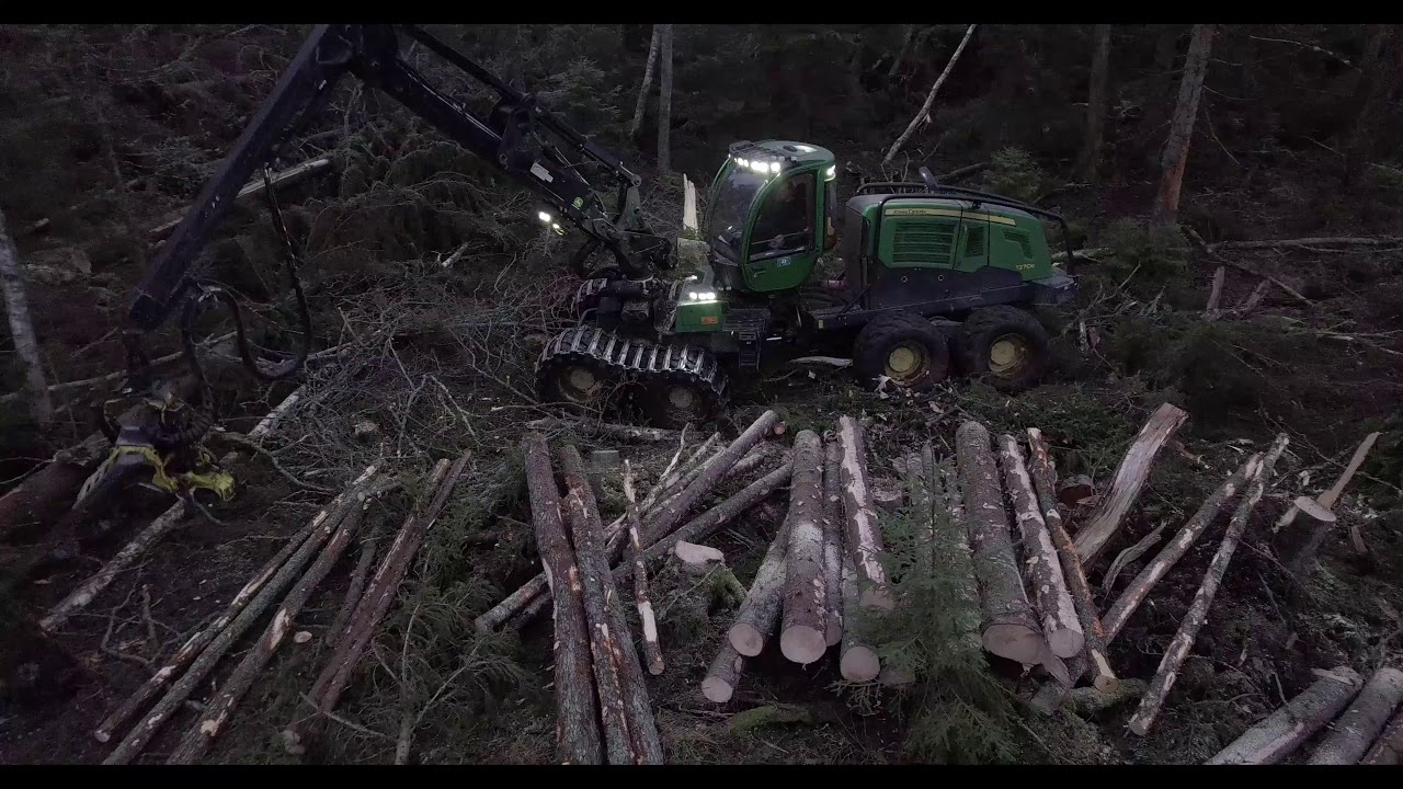 Upparbetning efter stormen Knud (NV Sörmland , ca 4200 kubik) part 2