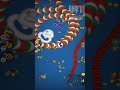 Worms Zone io Challenge - Can You Beat My High Score?"
