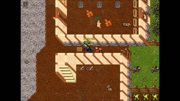 Tibia Pk Danera Part 6