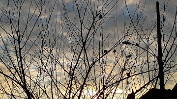 God is real. devil is real. Debate me. I