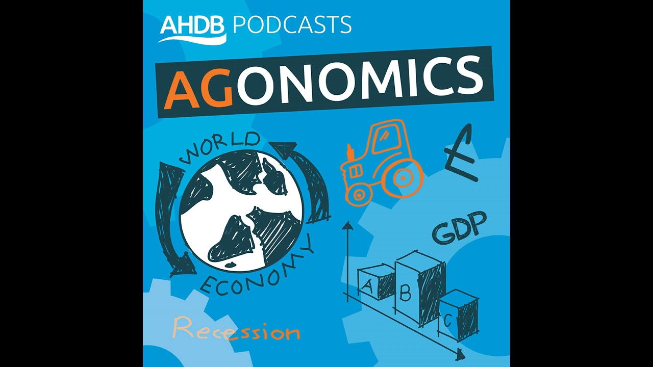 Introducing new AHDB chair Emily Norton and her vision for agriculture