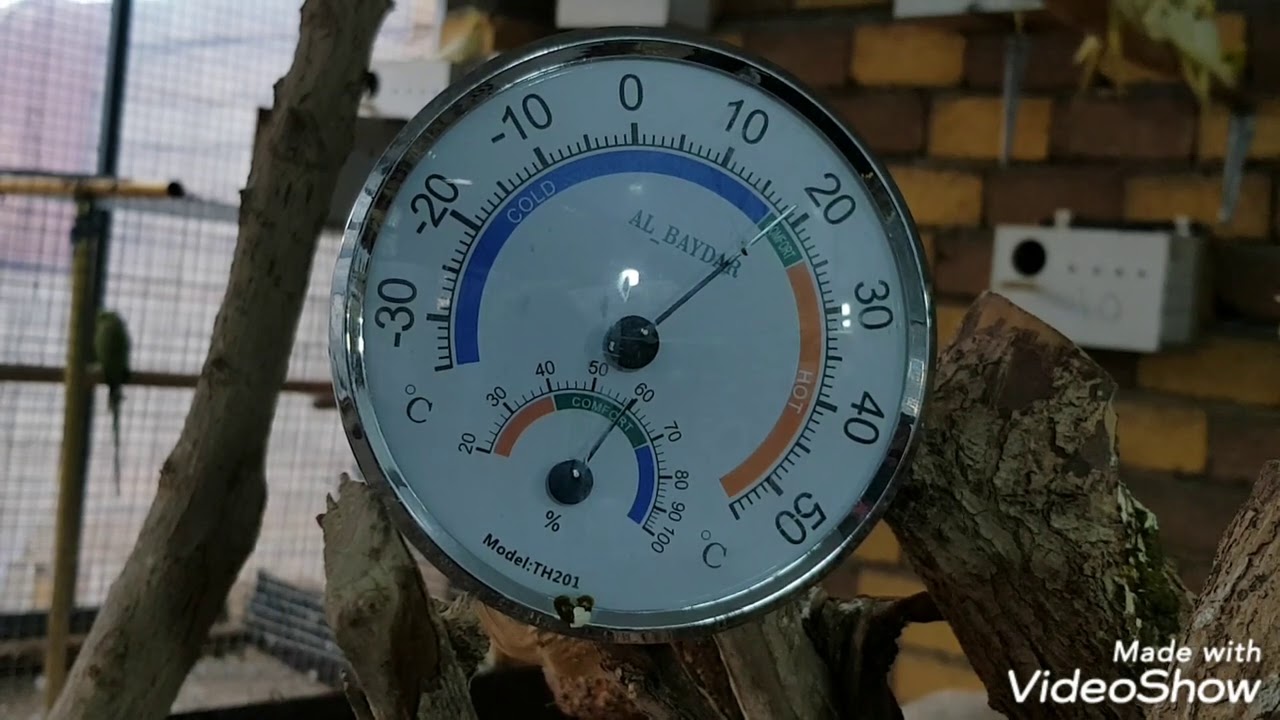 فوائد واضرار الرطوبه في غرف تربية طيور الزينه