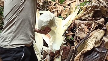 Hoa chuối rừng nấu canh xương ngon tuyệt vời ngày 30/4