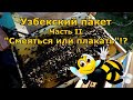 Узбекский пакет. Часть II. Смеяться или плакать!?