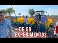 Campo de entrenamiento. Realizamos pruebas en la siembra de maíz y poder ofrecer datos interesantes