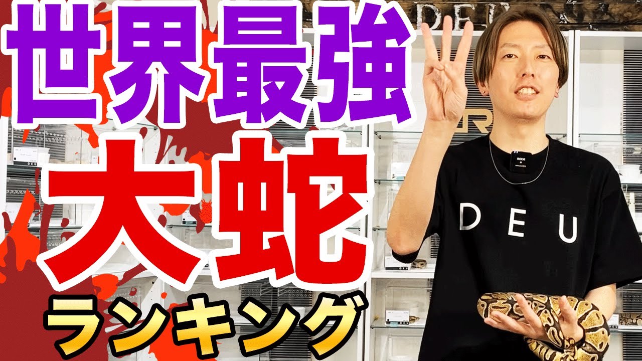 世界で最も大きなヘビ｜オオアナコンダ・アミメニシキヘビ・ビルマ