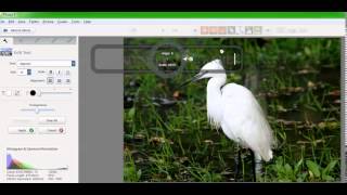 How To Add Watermark Using Picasa