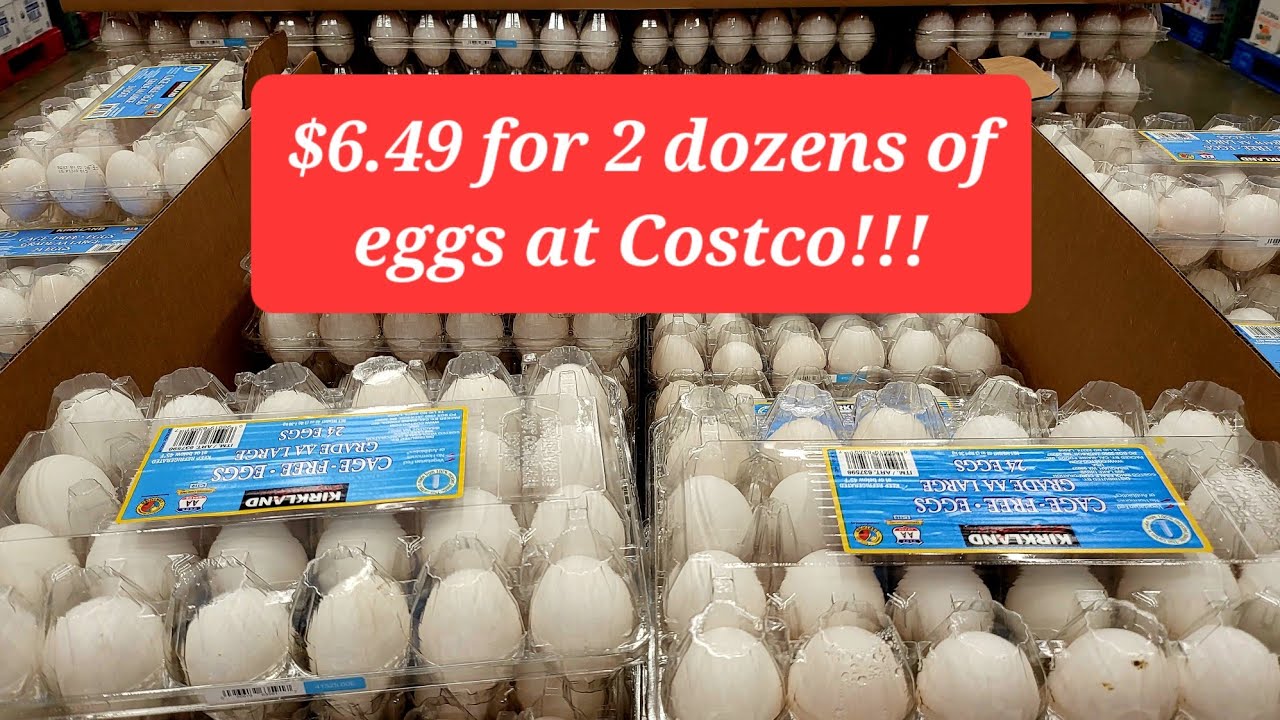 Grocery shopping at Costco/ COME WITH ME COSTCO 💥💯💥 YouTube