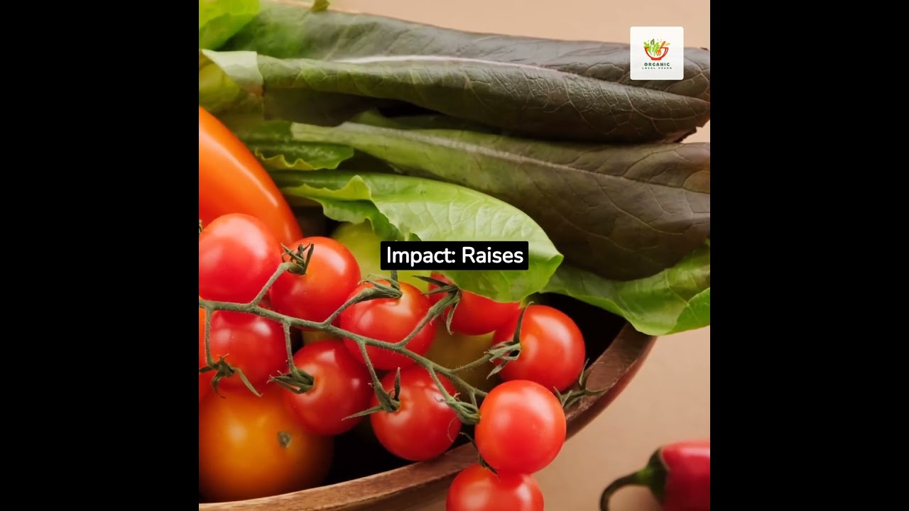 Hungry for Vegan Inspiration? 