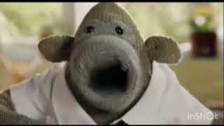 Pg Tips - Fruit Herbal & Green Tea Flavours