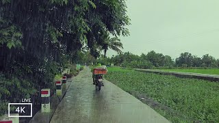 Walking through a beautiful village on soft rainy day| ASMR that Will Put you in a Deep Sleep screenshot 5