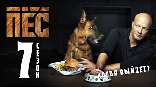Сериал Пес Новые Серии 2022 Года Сериал Пес Новые Серии 2022 Года