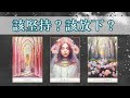 塔羅解讀🌹該堅持？該放下？｜指引訊息｜觀看不限時Timeless ＃塔羅 ＃自我對話