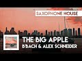 Bbach  alex schneider  the big apple