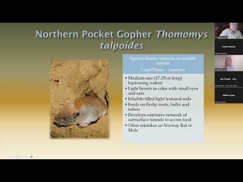 Wild about Wildlife - Preventing Property Damage Information Session