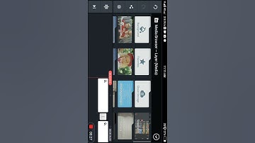 how to stop pictures  moving and add standard  picture in kine master video editor