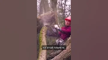 Самый трудолюбивый человек на нашей планете 😮