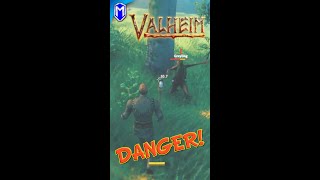 The Most Dangerous Thing In Valheim, More Dangerous Than Trolls - Valheim Highlight