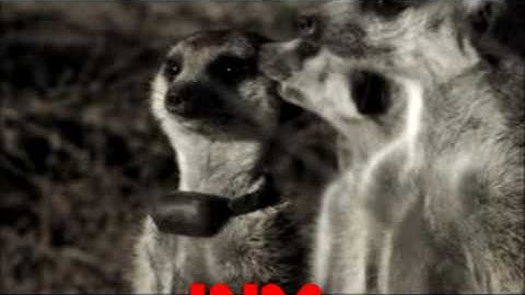 ♥ αυяσяα gℓα∂ιαтσя || тнє ¢ℓιмв || ♥