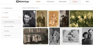How to Manage Your Photos on MyHeritage screenshot 2
