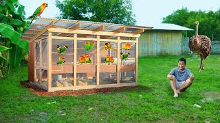 Amazing AFRICAN LOVEBIRD Farming Technique  LowCost African Cage, Transfering Hundreds of Ducks