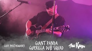 Giant Panda Guerilla Dub Squad - Pockets x Live Performance (SBTS 2018)