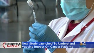 Study Looks At Vaccine Effectiveness In Cancer Patients
