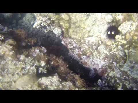 cernia gopro hero 3 black con KITESURF LECCE CLUB