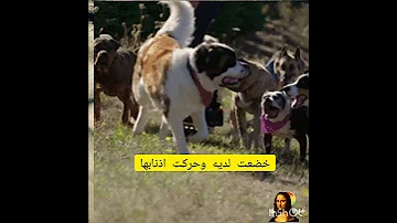 Shorts الغنى والفقير نظرة الناس للفقير 