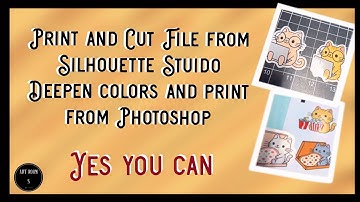 Create Print and Cut File from Silhouette Studio and print from photoshop